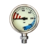 Termo Industria Glava manometra SPG63 brass&glass
